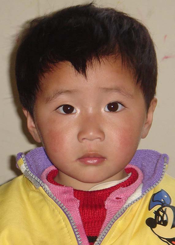 Han Ping