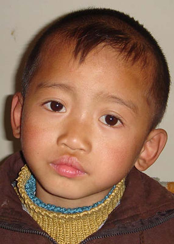 Liu Jia Gen