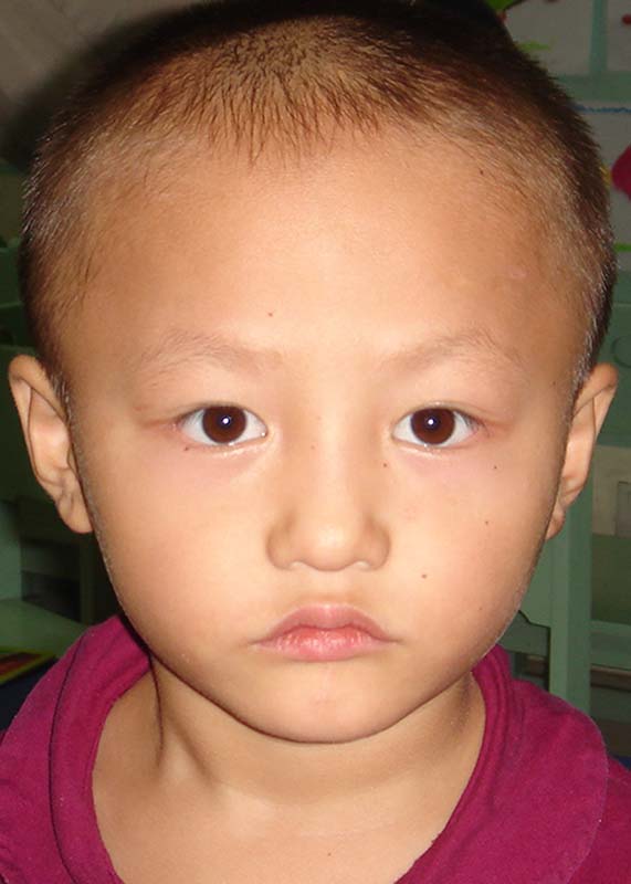 Zou Chen Lei