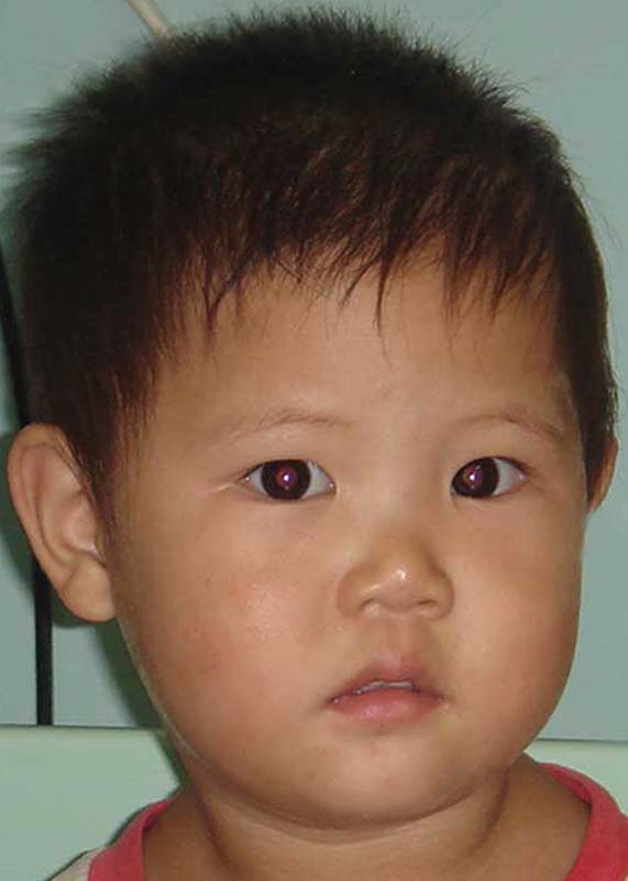 Li Jia Yin