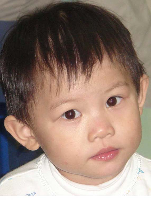 Luo Chen Xi