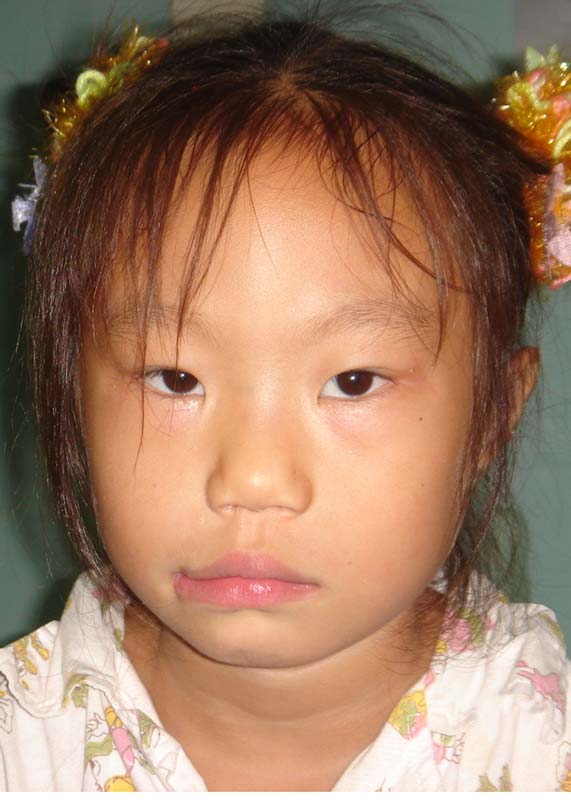 Huang Hui