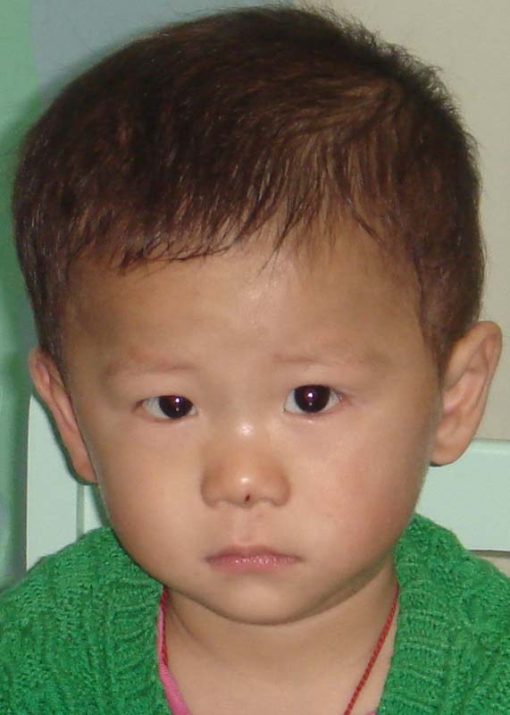 Qin Sen Lei