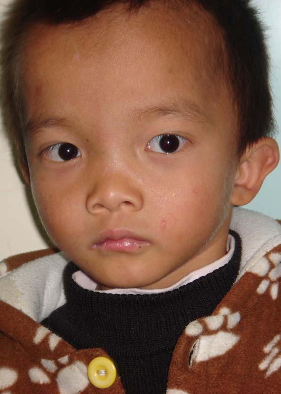 Yuan Feng