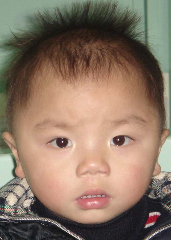 Feng Yi Xin