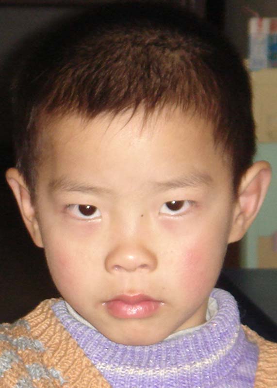 Shen Zhi Wei
