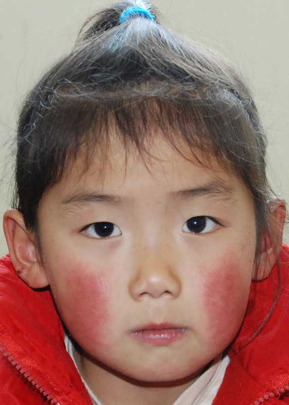 Zhao Yang Yang