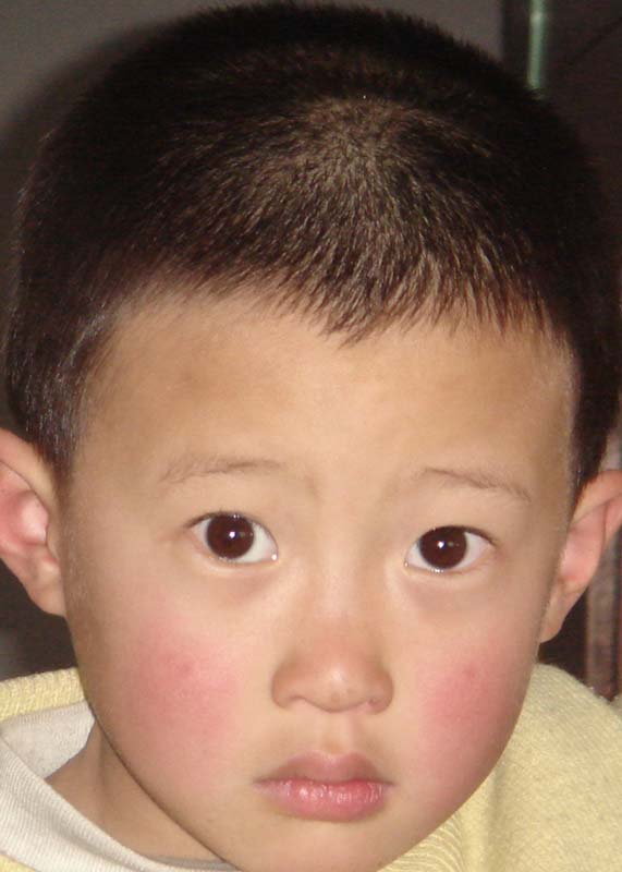Gong Zi Lin