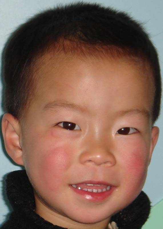 Zhu Wen Xuan