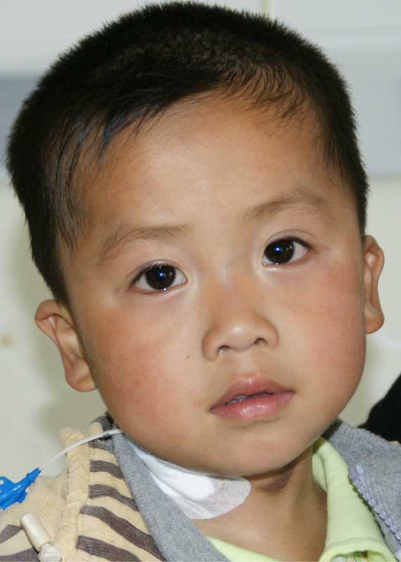 Wu Zhi