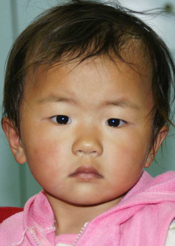 Gu Wen Li