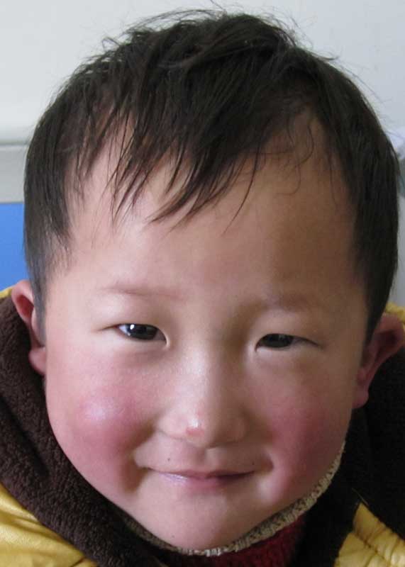 Yang Ting