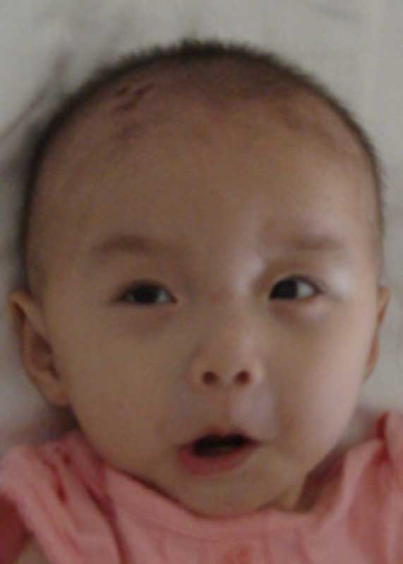 Xiao Xia