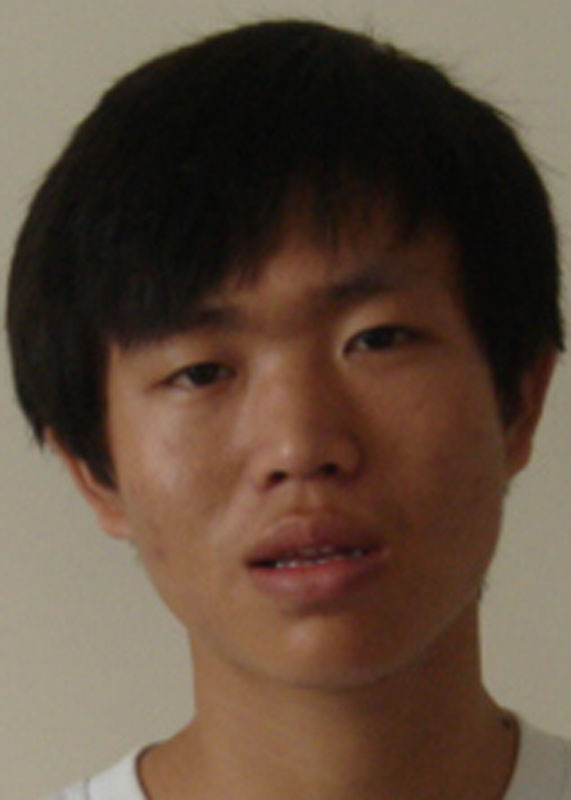 Feng Shu Hua 