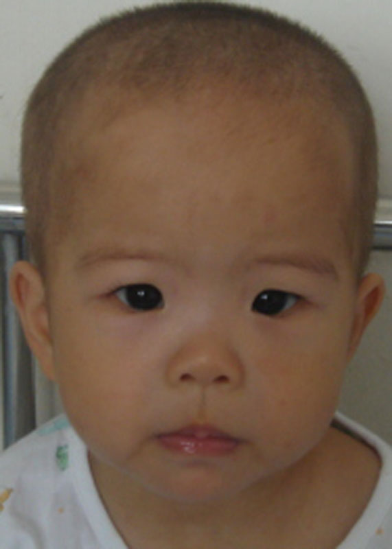 Cai Wen Xuan